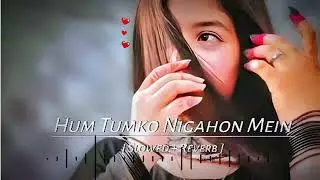 Nigahon Mein Basa Hai Tu 🌙 | Hum Tumko | Slowed + Reverb Lofi | Night Vibes