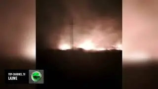 Top Channel/ Zjarr dhe erë e fortë në Vlorë! Rrëzohen pishat në rrugën drejt Zvërnecit