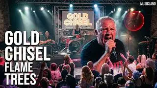 Flame Trees - Cold Chisel  - Gold Chisel - at Musicland
