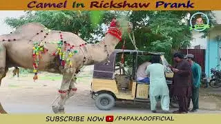Camel In Rickshaw Prank Goes VIRAL 😂🐪 | Shocking Public Reaction | P4 Pakao | 2026