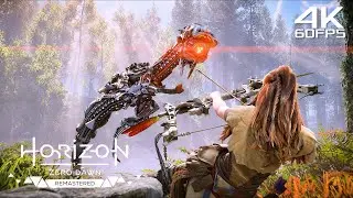 Aloy Training Horizon Zero Dawn Remastered | 4K60FPS