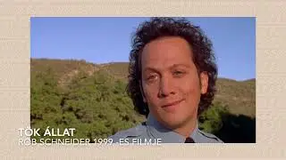 Mi a kapocs a FIDESZ mellett felsz&oacute;lal&oacute; ROB SCHNEIDER &eacute;s a NER k&ouml;z&ouml;tt?