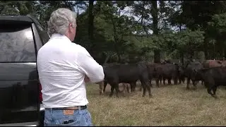 Congressman Visits Georgia Farm to Hear Directly from Farmers | Ag Policy, Farm Bill & More