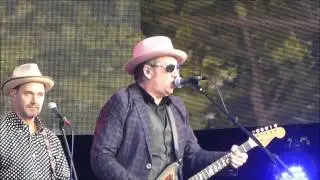 Elvis Costello - Oliver's Army (Live)