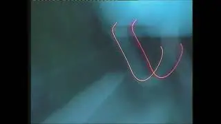Transambient - Free Range - Year 2000