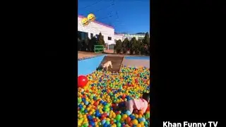 Funny Movements Of The Compilation🐱🐶 Funniest Fails Of The Year Compilation🐶🐱 @linhlantv