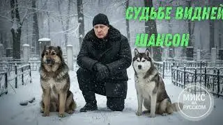 ❄️🐕 Старый двор НОВЫЙ ХИТ ШАНСОН ДЛЯ ДУШИ – Тишина кладбища и верный друг