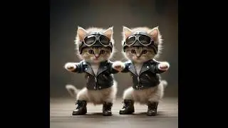 Motor kittens dancing fun 🐱🐱🏍️ #cat #cute #kitten #motorcycle #dancing #catlovers