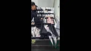 잡어판매#병어#대갈치#딱돔#고등어#금태