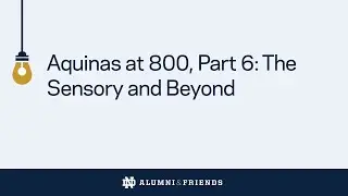 Aquinas at 800, Part 6: The Sensory and Beyond