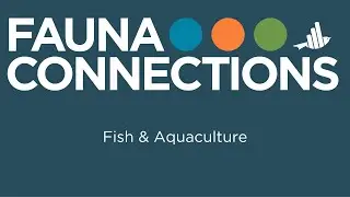 Fauna Connections 2025: Fish & Aquaculture