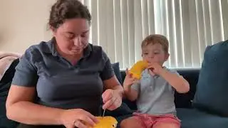Remote Control Boat Toy Review