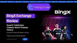🔥BingX Review 2025 - TradingFinder