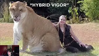Scariest Hybrid Animals That Exist/ RejectTv Reacts