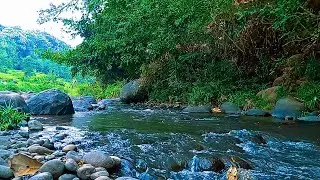 RELAXING SOUNDS FOR SLEEPING | TRANQUIL RIVER AND FOREST SCENE FOR DEEP SLEEP & RELAXATION #123