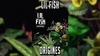 Lil Fish - Origines