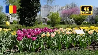 IASI BOTANICAL GARDEN CINEMATIC 4K VIDEO