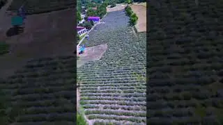 Lav Farm at Visoko from up in sky