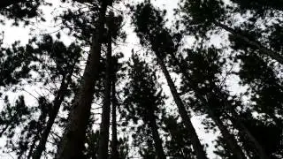 20140519 Hockley Valley Hiking