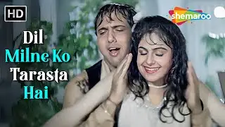 Dil Milne Ko Tarasta Hai..Dil Milne Ko Tarasta Hai | Ekka Raja Rani | Govinda, Ayesha | Alka Yagnik