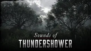 Hear the storm | Hunt: Showdown 1896