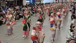 濱長　花神楽　高知よさこい祭り2025 全国大会　帯屋町