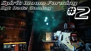 Destiny | Spirit Bloom Farming #2