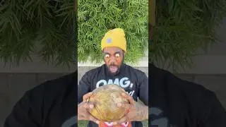 FRESH COCONUT JUICE #shorts #funny #comedy #viral #meme #explorepage #youtube #fyp #food #lol