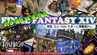 【patch7.4】今さらはじめるファイナルファンタジー14！