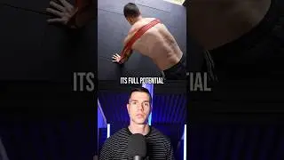 How To Fix Weak Shoulders (Scapula Winging)