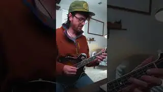 G Major Crosspicking Mandolin Lick #shorts