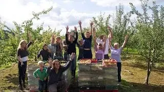 Feedback&rsquo;s Gleaning Network &ndash; Why is good food wasted on farms?