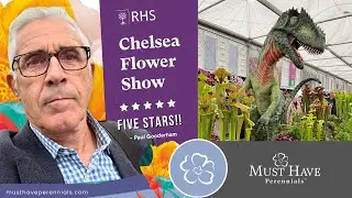 Chelsea Flower Show recap 1