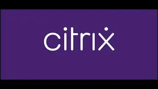 Citrix VDI с использованием нескольких мониторов | Citrix Desktop с двумя экранами | Двойные мони...