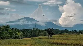 3 Bedroom Retreat Villa in Bali | Candi Villa | Rice Fields & Volcano Views
