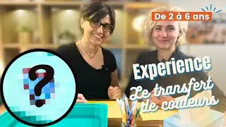 Activité Montessori à la maison : L’EAU FAIT DE LA MAGIE avec des MOUCHOIRS