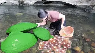 🎁 💎 From Dirt to Diamonds: Girl&rsquo;s Wild Discovery of a Gem-Filled Mutant Clam!
