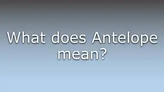 What does Antelope mean?