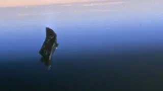 Cryptid Profile - Black Knight Satellite