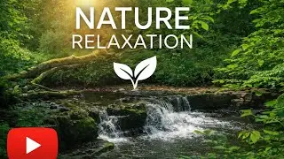 Peaceful River Flow 🌊 Deep Nature Relaxation | Stress Relief, Sleep & Meditation