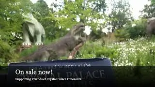 FCPD CP Dino Book Promo