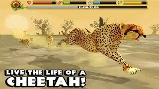 🐅🐾Cheetah Simulator -Симулятор Гепардa - by Gluten Free Games- iOS/Android