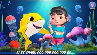 Baby Shark Ocean Adventure | Kids Songs & Learning Rhymes | Nursery Rhymes for Toddlers