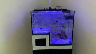 20g Abyss Panarama