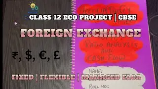Class 12 Economics Project | Types of Foreign Exchange Rate Systems | CBSE 2024-25 | Full Tutorial