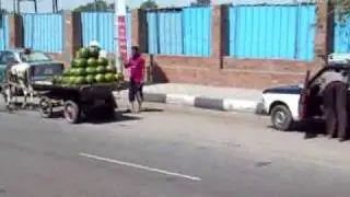Donkey Carts.