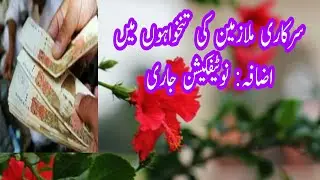 govt employees salary increase 2023 today | Punjab employees news today | Notification | @Rmi45