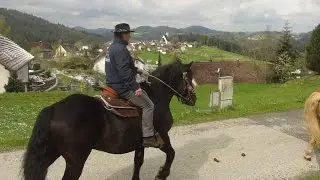 22. Georgi-Ritt - St. Georgen am Walde 2016