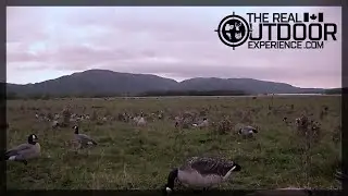 Setup Tips for Goose Hunting - Ep. 7