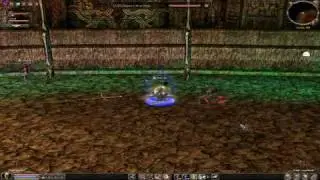 Ley  Metin2 DT Damage Test 30k+ Critical hit  Oficial server